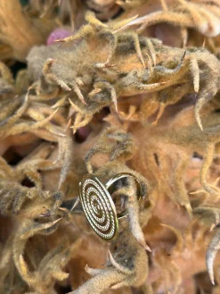 Anillo Caracol