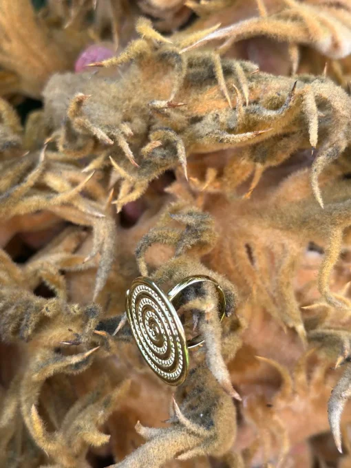Anillo Caracol