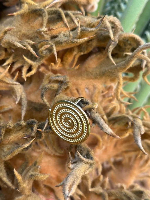 Anillo Caracol