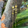 Pendientes estrellas mixtas
